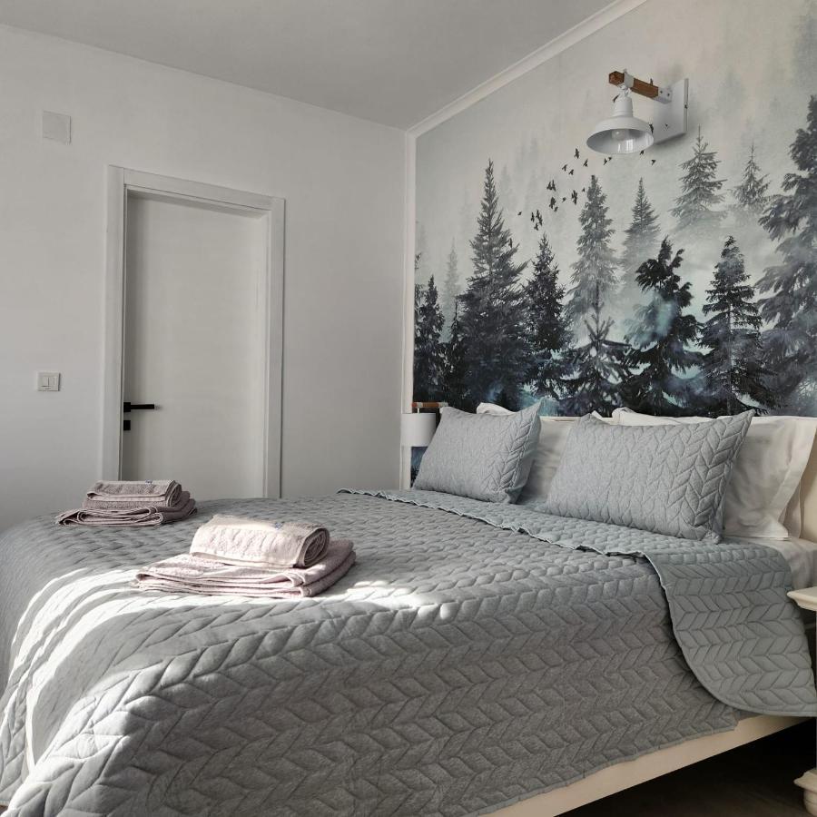 My Room Accommodation คูร์ตา เด อาร์เจช ภายนอก รูปภาพ