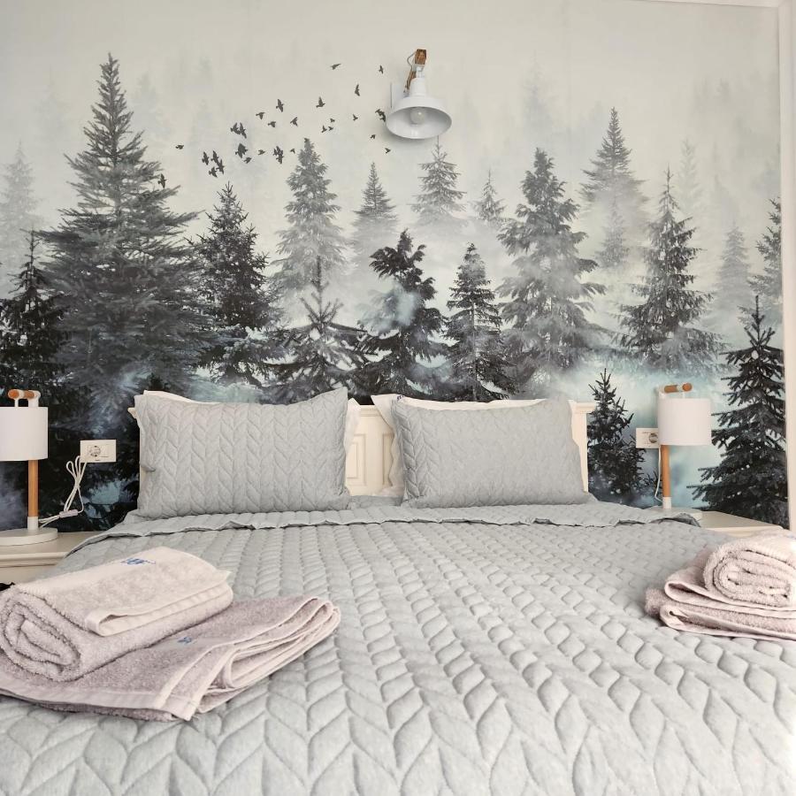My Room Accommodation คูร์ตา เด อาร์เจช ภายนอก รูปภาพ